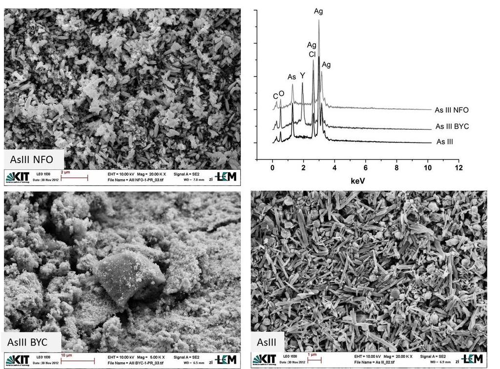 8 Conclusive discussions Figure 8.2: SEM micrographs and EDX-spectra of grains obtained by using BYC (AsIII BYC) ans NFO (AsIII NFO) for separation.