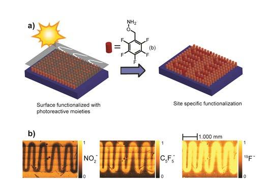 (Bio)Molecular Surface Patterning by Phototriggered xime Ligation via shadow-mask techniques XPS ToF-SIMS T. Pauloehrl, G.