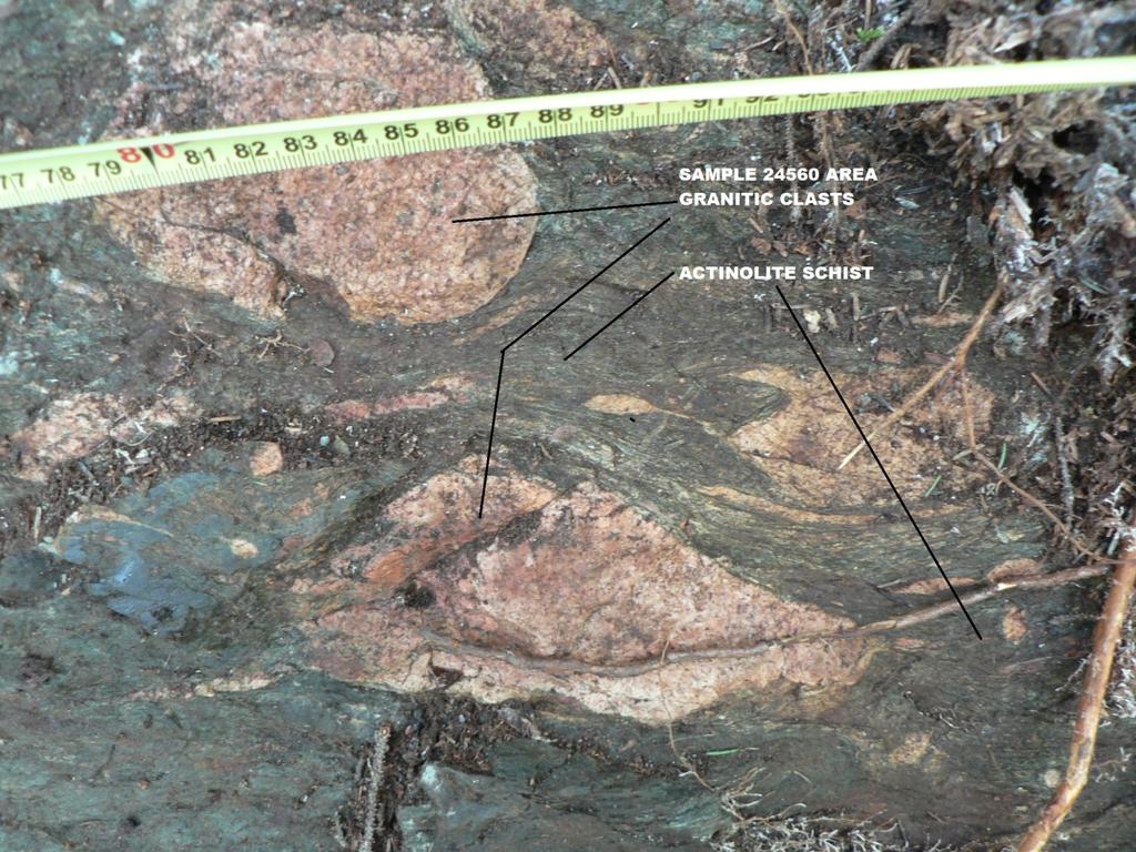 Photo 6: Sample 24560 Area, Polymictic conglomerate Observed strikes