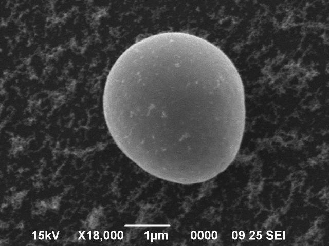 Photo cleaning Method: W particles Particles produced by laser ablation Very fine aggregates Droplet of 1 to 5 µm with very smooth surface 1µm Wavelength influence: Pulse duration influence: 1,0 0,8