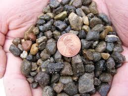 Terms: Rocky Substrate Includes gravel,