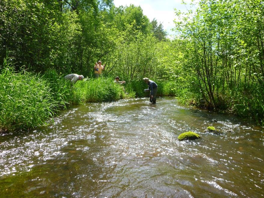 Preserve and protect Wisconsin's streams by: Program Objectives: Educating