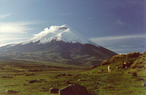 COTOPAXI VOLCANO EXERCISE 13 th NOVEMBER 2014 WP 9: Decision-making and unrest