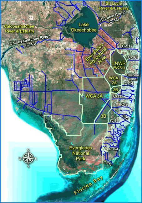 What are the primary manageable drivers of the Everglades - Florida Bay Ecosystem?