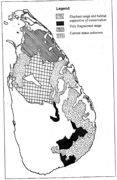 Elephant numbers and distribution in Sri Lanka Substantial numbers 5,000 to 6,000 2011 census: 5,800 Range widely Throughout