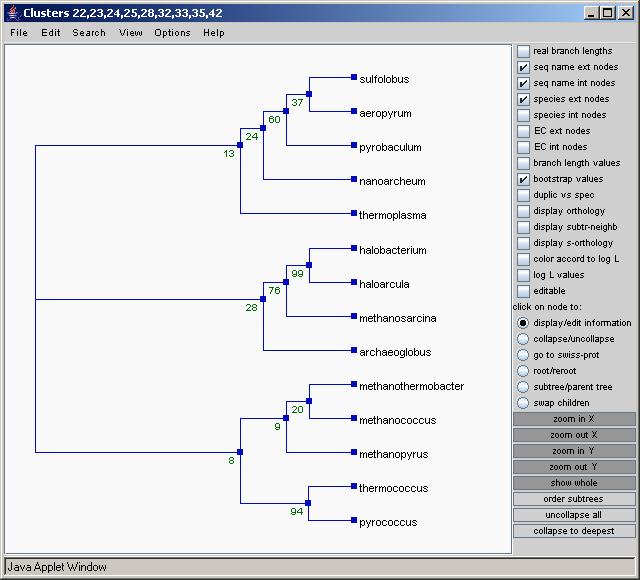 selected clusters. It is convenient for the biologists to generate a consensus tree with all clusters and a consensus tree with few selected clusters of interest and then compare them.