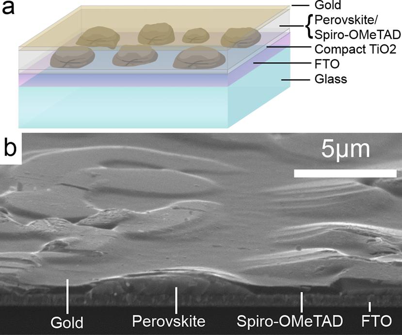 Figure 2. Semitransparent neutral-colored perovskite solar cells. (a) Diagram showing the architecture of the dewet planar perovskite heterojunction solar cell.