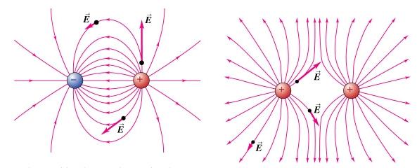 Different electric field line