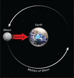 Gravitational Forces The Earth, Moon, and Tides The moon s inertia acts to move it away from Earth. Earth s gravitational attraction keeps the moon in a nearly circular orbit around Earth.