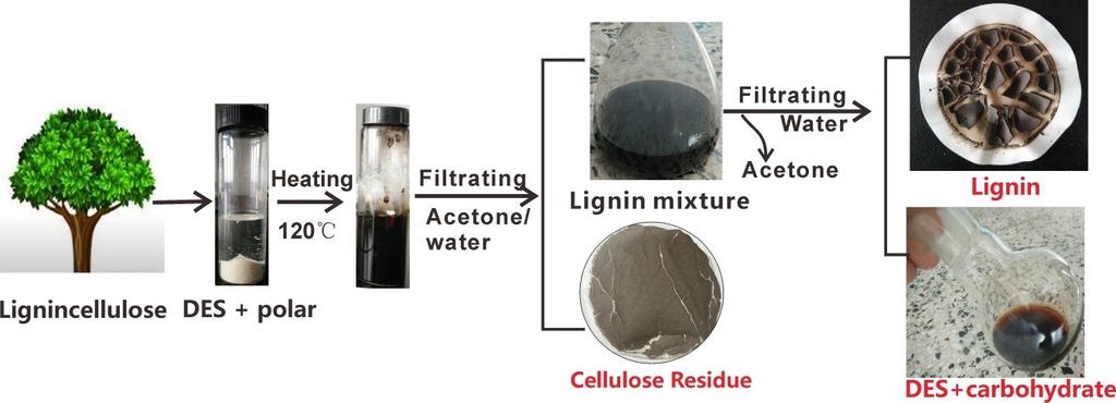 Fig. S6 The fractionation process of wood lignocellulose into