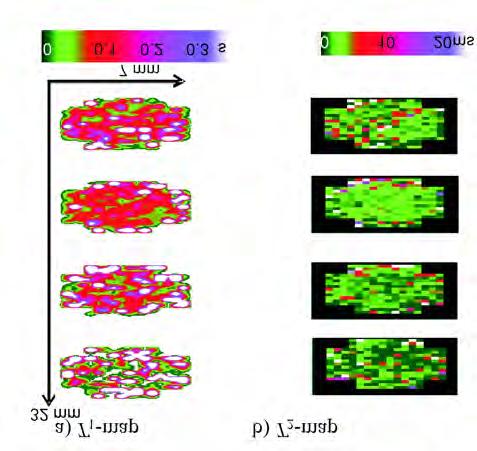 30 3 Individual Reports Relaxation in a Natural soil: Comparison of Relaxometric Imaging, T 1 - T 2 Correlations, and Fast-Field Cycling NMR Dr.