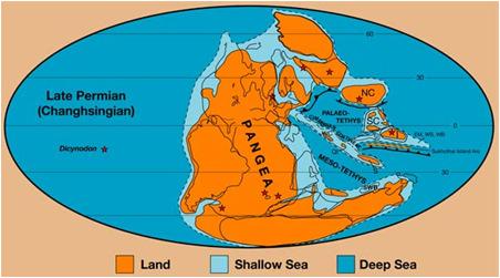 SE Asian Plate Tectonics Rift-Drift-Collision Terranes derived from