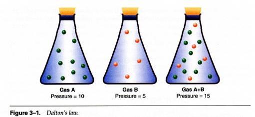 Partial Pressures What do you think the total pressure of the mixture below is?