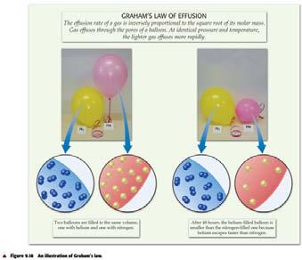jpg Graham s s Law of Effusion Rate Rate Graham s s Law of Effusion Example If equal amounts of helium and argon are placed in a porous container and allowed to
