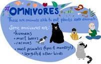 Omnivores: these are