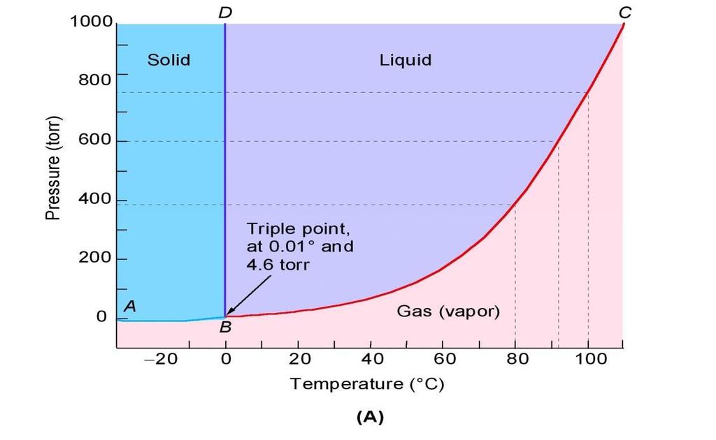 Common plot of pressure vs temperature PHASE DIAGRAM P LIQUID VAPOUR T T b = boiling p On the line, both phases are in equilibrium.