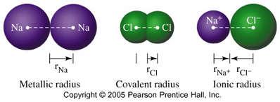 Periodic Trends: Atomic Radius A metal atom s radius is defined as half the distance between neighboring nuclei in a crystal