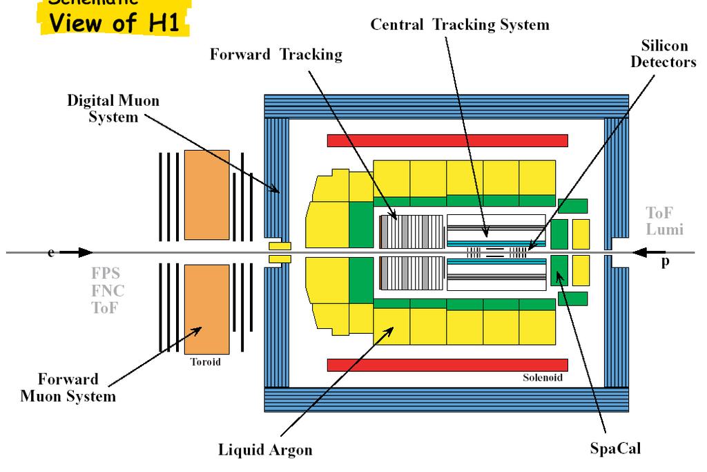Schematic View of