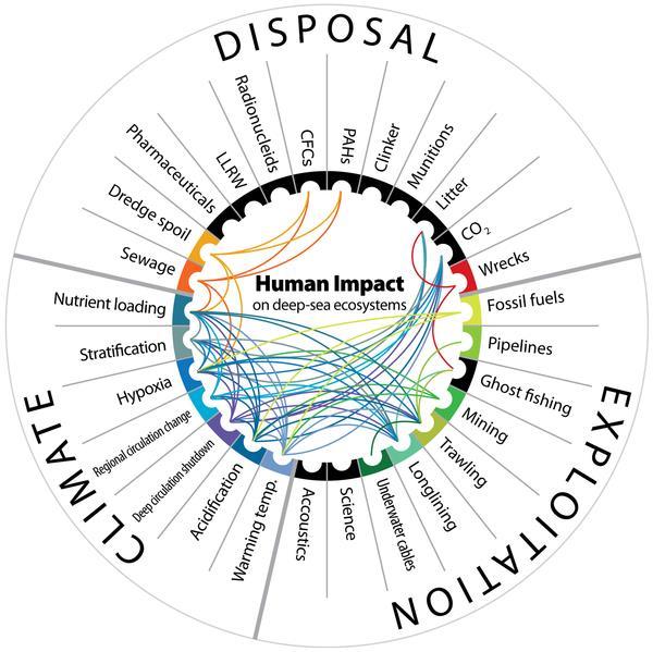 Figure 7. Synergies amongst anthropogenic impacts on deep-sea habitats. Ramirez-Llodra E, Tyler PA, Baker MC, Bergstad OA, Clark MR, et al.