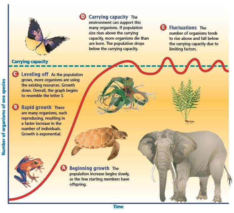 Changes in Populations Moving Around Most animals can move from place to place, and their movements can affect population sizes.