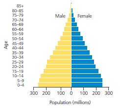 Populations Can Grow, Shrink, or Remain Stable (2) Age