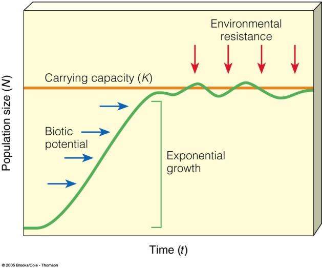 Carrying Capacity (K) = max number of individuals of a given species that can be sustained indefinitely in a given space o = equilibrium b/w biotic potential and