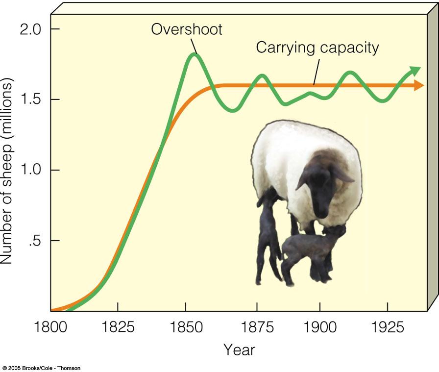 } Some organisms overshoot carrying capacity à results in a