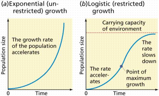 Biotic potential = Populations vary in their capacity for growth o Intrinsic rate of increase (r) = rate of pop