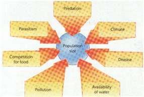 Limiting factors Is a factor that causes population growth to