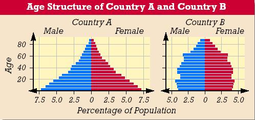 Age Structure Population growth depends on how many people of