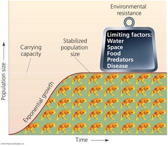 Carrying capacity Carrying capacity = the maximum population size of a species that its environment can sustain Limiting factors slow and stop exponential