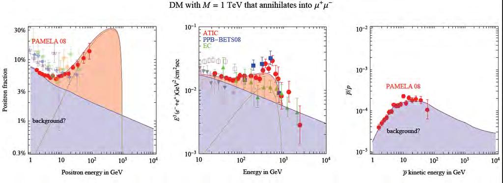 DM? PAMELA ability of measuring both proton