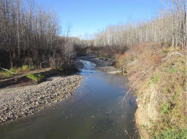 Looking at Upstream Channel
