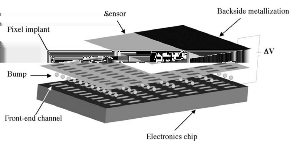 process. The same electrodes that apply the bias voltage are used to collect the electrons produced in the sensor. Figure 9 shows one cell of a pixel detector.