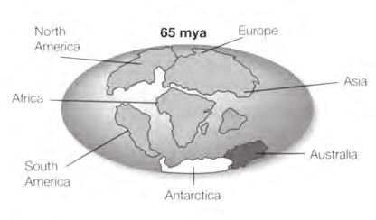 Australia stays attached to Antartica near Sth Pole.