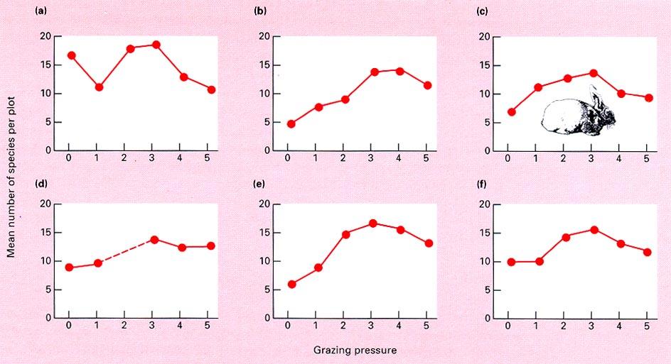 Figure 21.1 (3 rd ed.): Effect of rabbit grazing on sand-dune plant species richness. Dr. S.