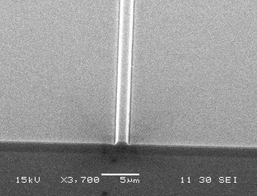 3.1 LNOI photonic wires fabricated by Ar milling The LNOI sample usedconsists of a 730 nm thick single crystalline LN layer bonded to a 1.3 µm thick SiO 2 layer. Photoresist stripes of 1.