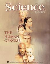 genome is the total
