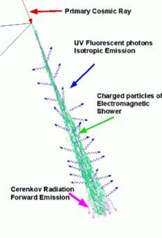 Fluorescence and Cherenkov Lights Air