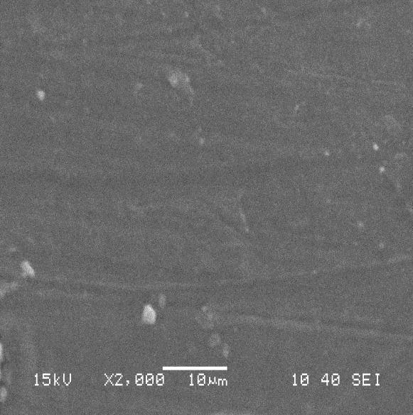 A close look on the SEM micrograph shows that for O/Na=20, the amorphous content is more and as we increase