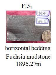 Fig 3 Fuyu reservoir rocks of the study area varied bedding structur1e III. FACIES MODEL 3.