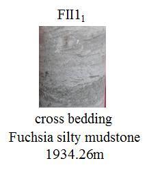 2 Establishment of Facies model According to the regional sedimentary data, the observation of coring well core and