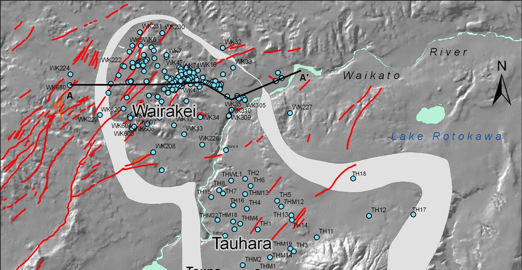 Bignall et al. The Wairakei-Tauhara area is crossed by numerous closely spaced, NE-SW trending, high-angle normal faults (Figure 2).