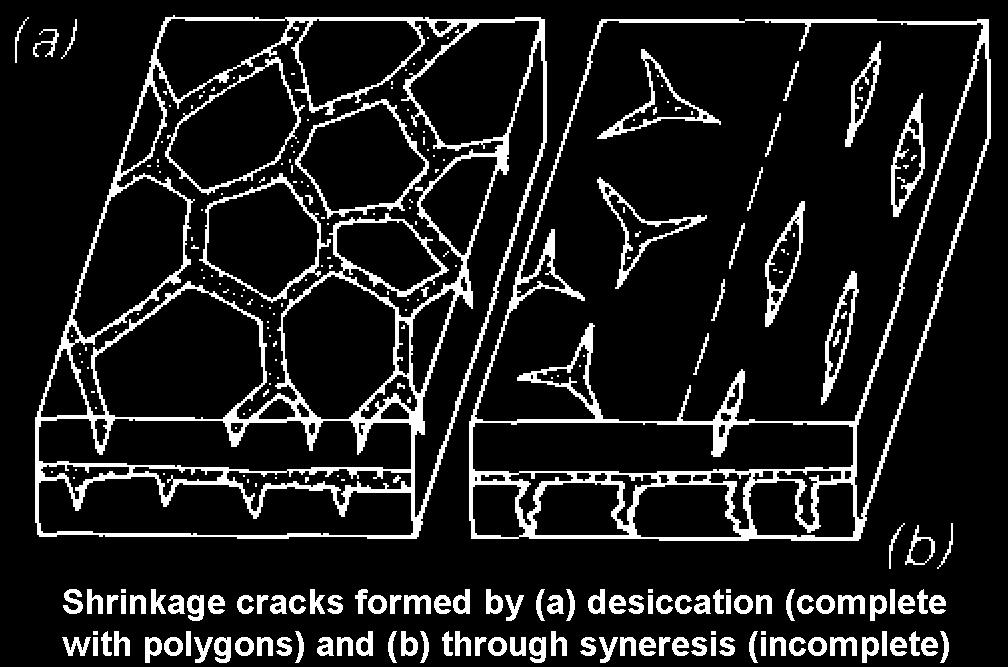 Some other common depositional structures particularly useful in determining the way-up of strata include graded bedding, where coarser particles at the base of a bed give way to finer particles