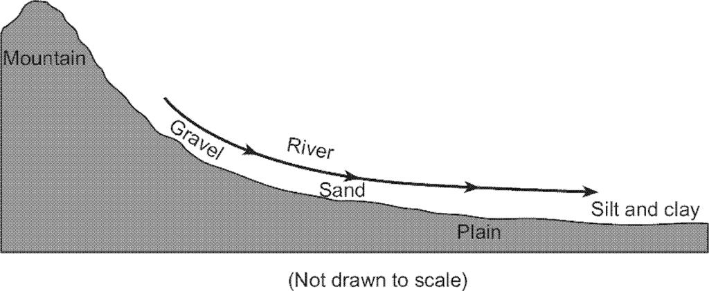 41. The accompanying cross section illustrates the general sorting of sediment by a river as it flows from a mountain to a plain. 42.