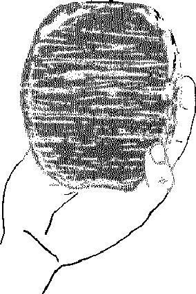 27. The diagram below shows a hand sized rock sample with parallel sets of grooves. This rock sample was found in a gravel bank in central New York State. 29.