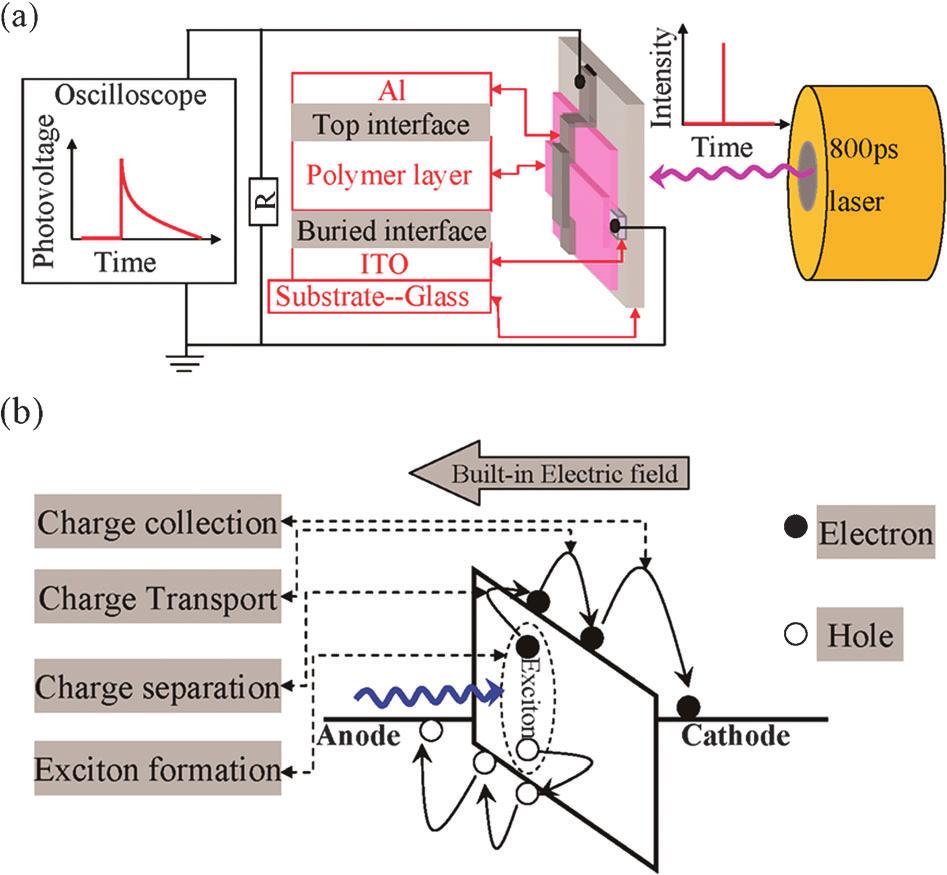 Fig. 8 (a) Schematic view of the setup of transient photo-generated voltage measurement and structure of devices. (b) The four steps in charge dynamics (photon-to-carrier process) of OSCs.