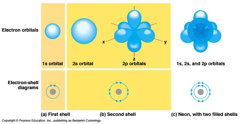 Electrons/bonding and quantum numbers Electrons, Atomic Orbitals, and Energy Levels In an atom, the number if electrons equals the number if protons in the nucleus.