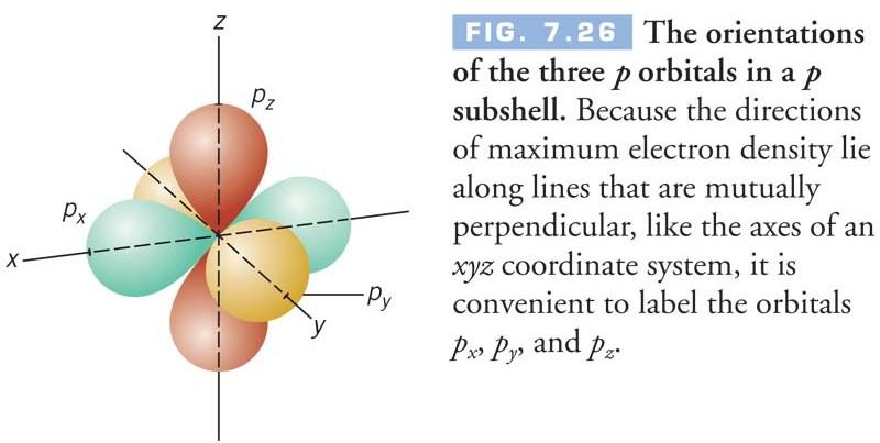 There Are Three Different Orbitals In Each p Subshell The directions of maximum electron