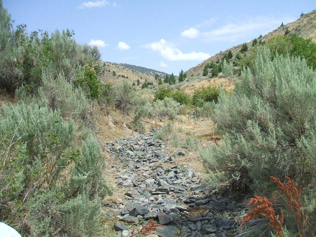 Basin Creek (Willow Creek